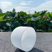 Afbeelding in Gallery-weergave laden, Kristal Klankschaal Frosted Quartz Chakra 8 inch C D E F G A B